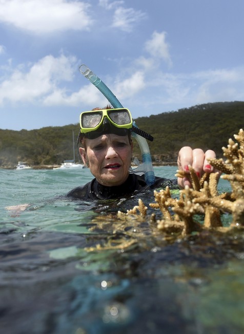 Veľký bariérový útes