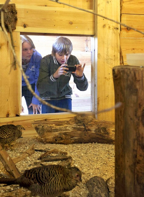 Noemova archa Holandsko drevená loď