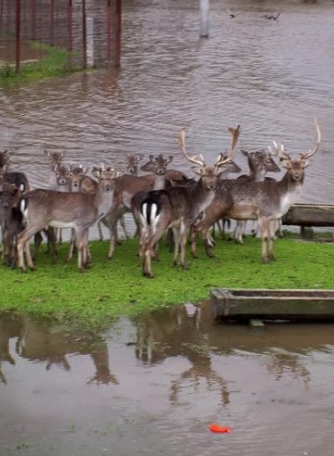 [multi] Povodne stredné Slovensko 5406