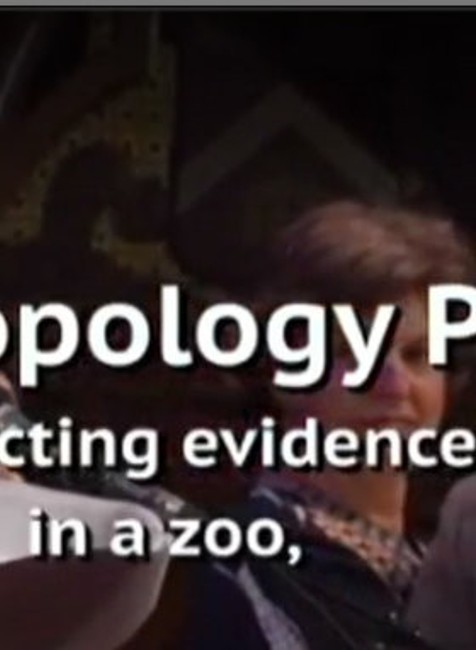 ocenenie za výskum na Harvarde