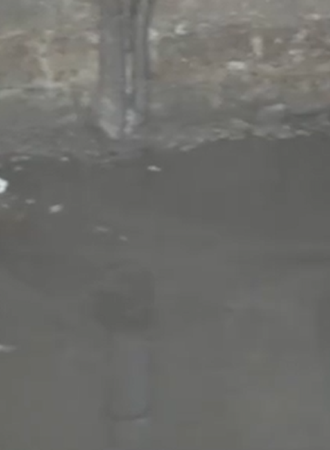 Výkaly z kanalizácie zatopili obyvateľom pivnice