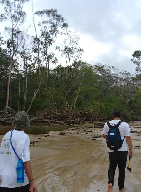 Vráskavec v pralese