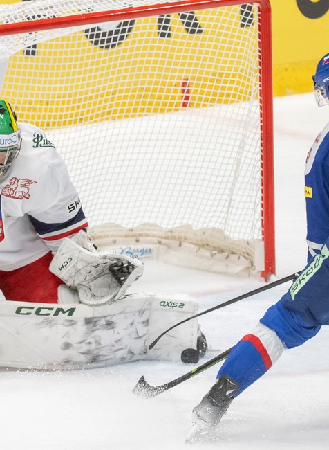 Slovensko vs Česko