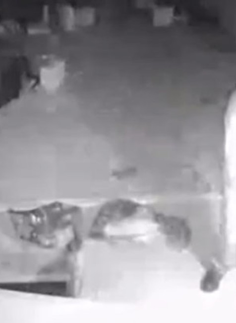 Dôchodca mal mesiace terorizovať rodinu. Na mladú mamičku kričal, že ju zabije