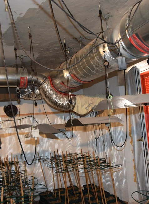 Orešany, prehliadka, drogy