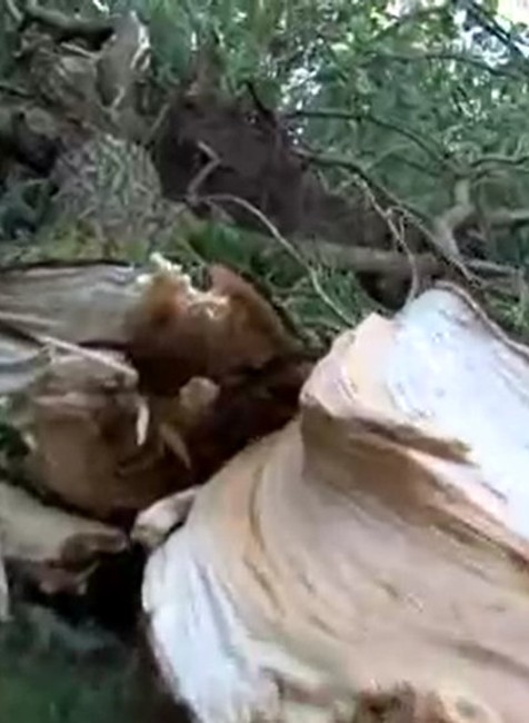 Nočná veterná smršť v Humennom.