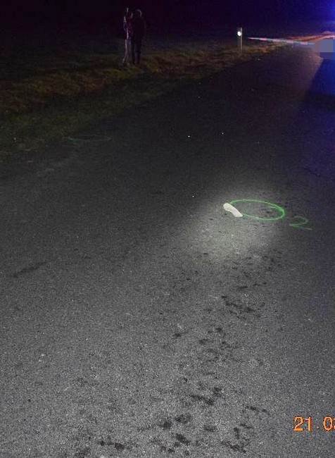 Zrazený chodec, dopravná nehoda (1)