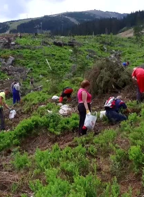 FOTO: Jarné upratovanie na Chopku. Pozrite, ako sa zrazu zelená15071