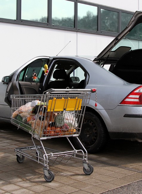 Veľká noc a veľkonočný nákup. Zákulisie nakrúcania reportáže TV JOJ