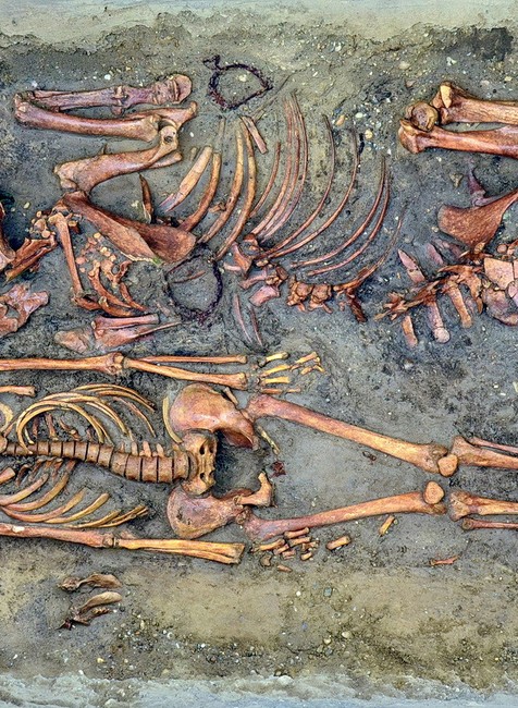 Avarský jazdecký hrob z 8. storočia