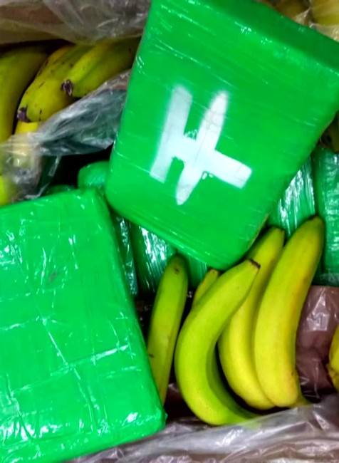 Kokaín v banánoch