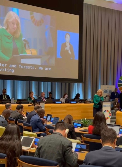 Zuzana Čaputová summit OSN (2)