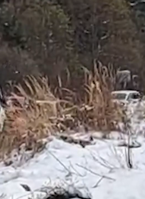 Nahy muz bol agresivny