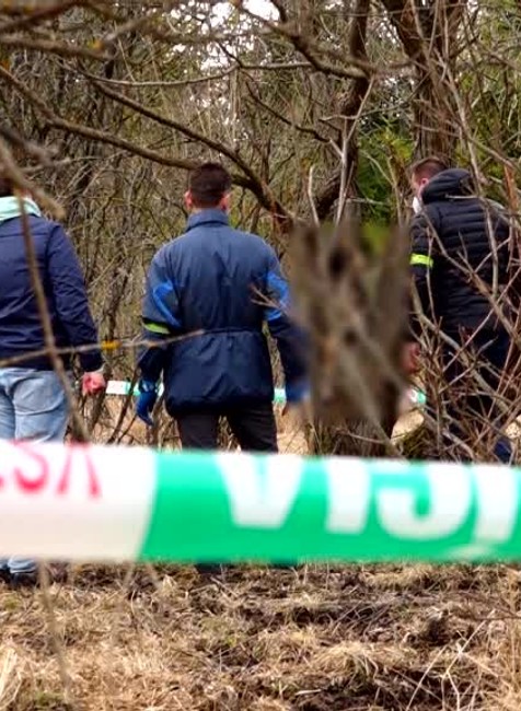 [multi] Obeseny psik 2192