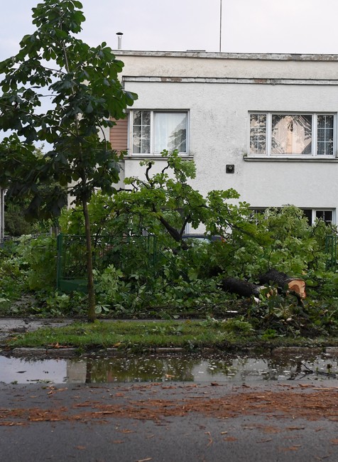 strazske07_19_7_2023973599