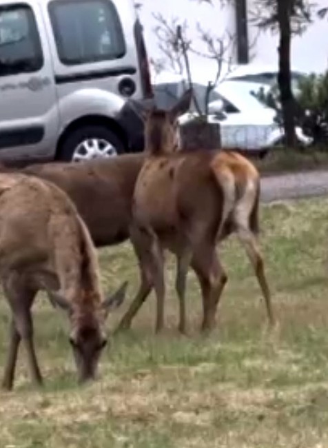 Rozlúčka ako sa patrí. V Tatrách pochovali lyže