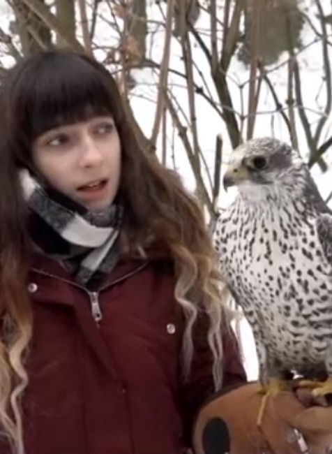 Túlavé psy napadli vzácneho dravca. Mladá sokoliarka sa zachovala hrdinsky 