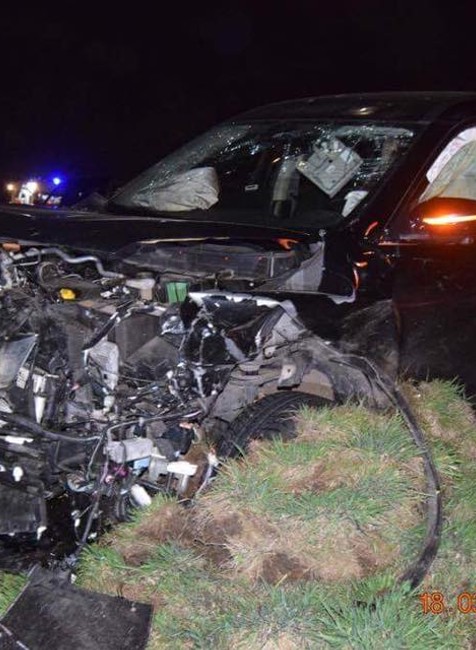 dojč, nehoda, zvery