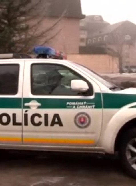 Psy viceprimátora Popradu mali roztrhať mladého srnca. Ten sa bráni