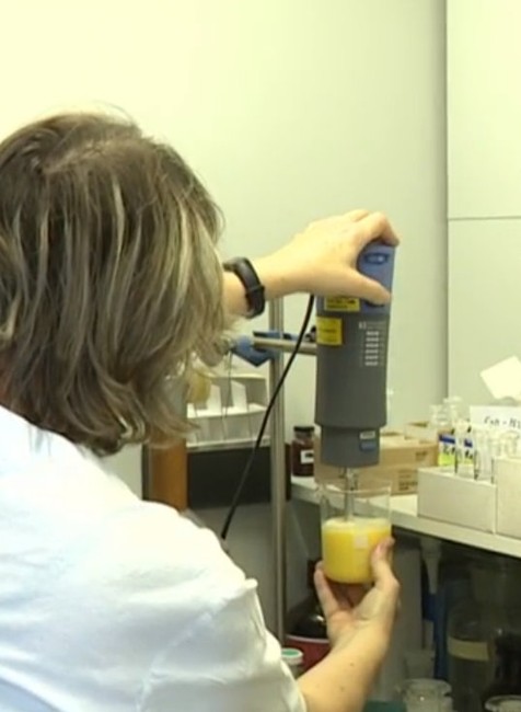 Slováci pozor! Na trh sa dostalo viac ako 5000 kg kuracieho mäsa so salmonelou