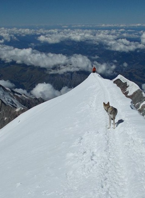 ekáme na parťáka, dvacet minut na vrchol