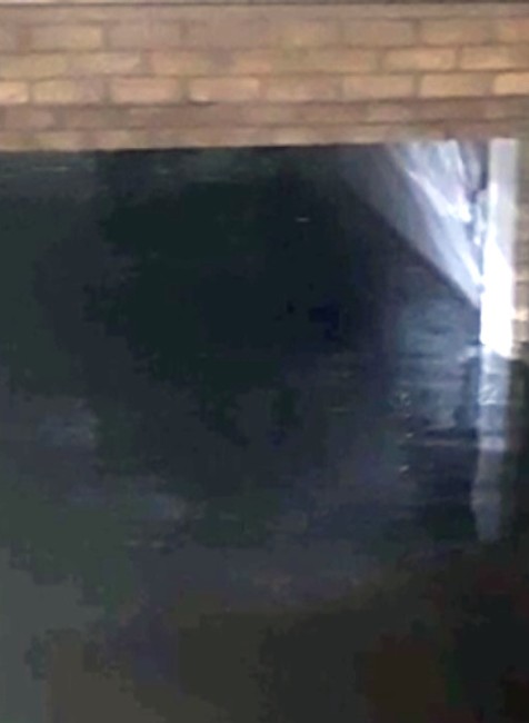 Povodne v Dunajskej Strede a Veľkom Mederi