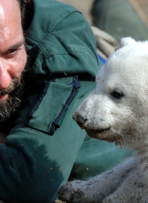 Príbeh knuta. Od narodenia až po tragický koniec