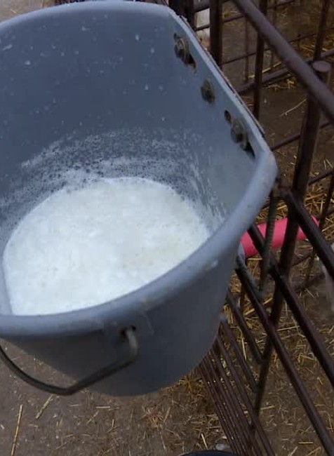 VN Farmári 11 mlieko609