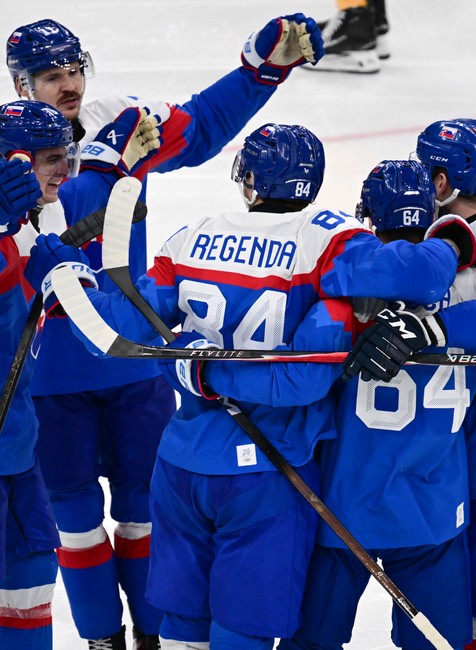 Zápas Slovensko - Nemecko