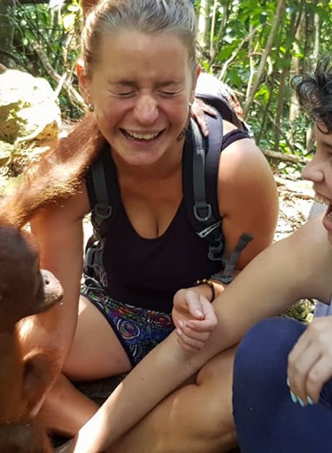 Orangutany, Sumatra, Bukit Lawang