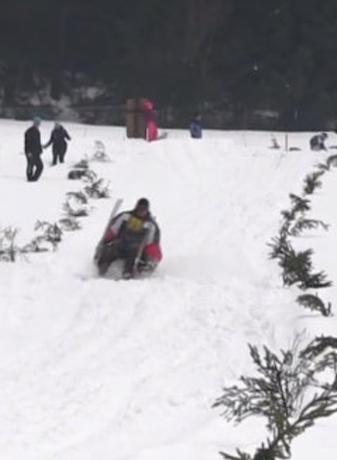 Preteky na krnohách 