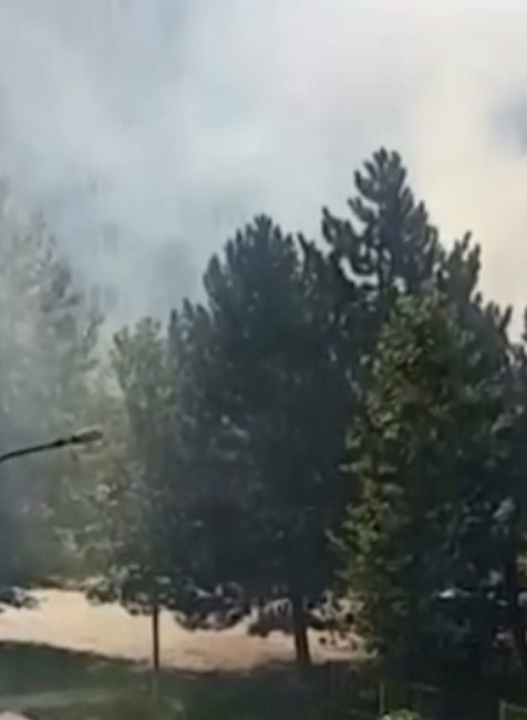 Hasiči bojovali s požiarom stromov pri ihrisku. Podpálil ich pritom iba 8-ročný chlapec