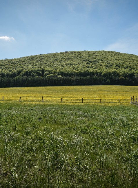 FOTO: K 100. výročiu úmrtia Milana Rastislava Štefánika, v Košariskách predávali vzácne mince