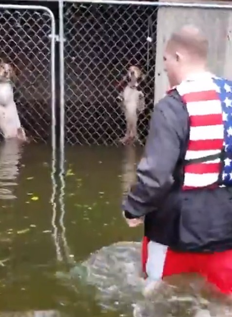VIDEO: Majiteľ nechal psov napospas hurikánu. Záchrana prišla v poslednej chvíli