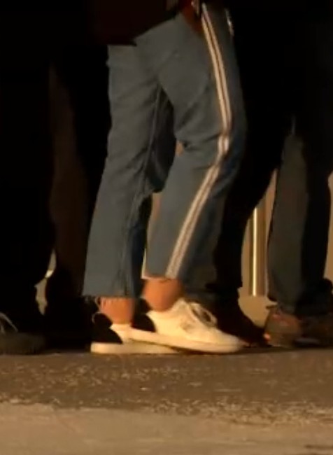 Cudzinecká polícia