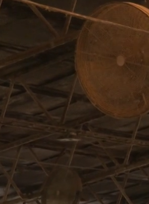 mastal ventilator