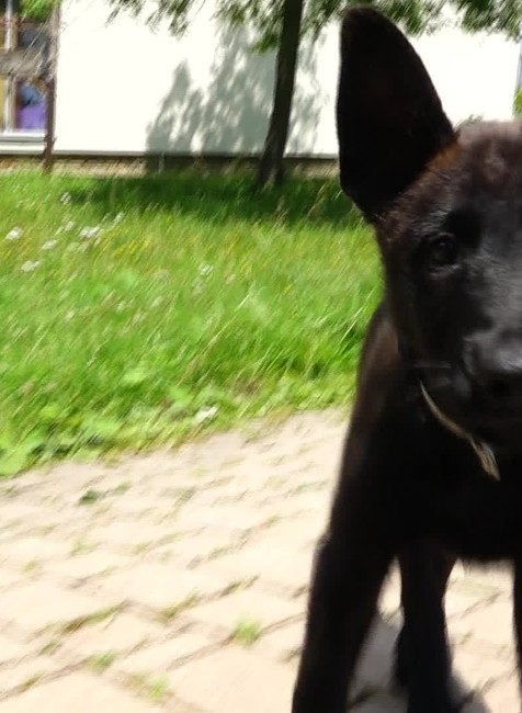 [multi] 071024ZFZ 12065