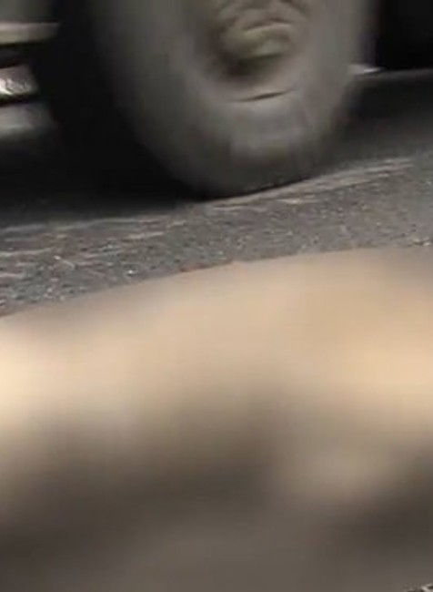 Zháňal sa vlčí moč, trus, srsť či krv šeliem.