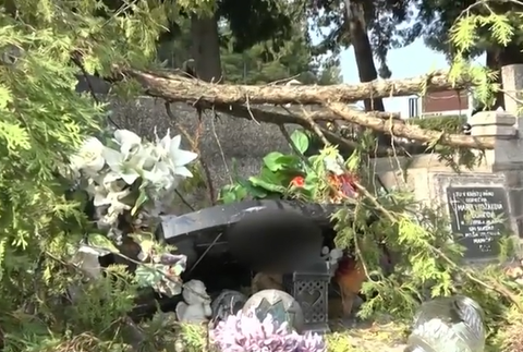 poškodeny pomnik