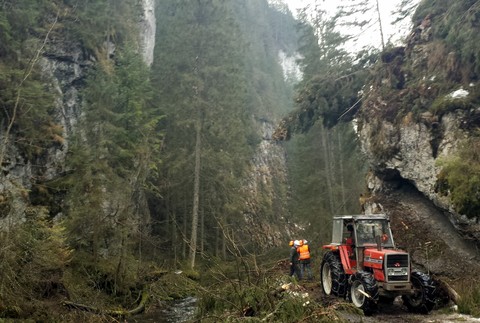Vysoké Tatry Poľsko kalamita 2