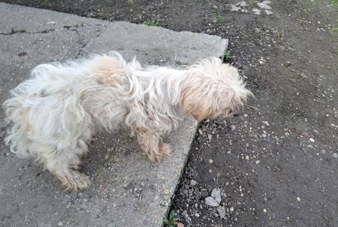 434018180_814492190716351_5075959504109162995_n