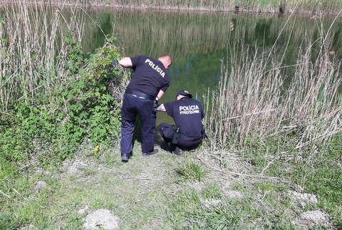 Polícia našla v petržalskom Chorvátskom ramene funkčný granát