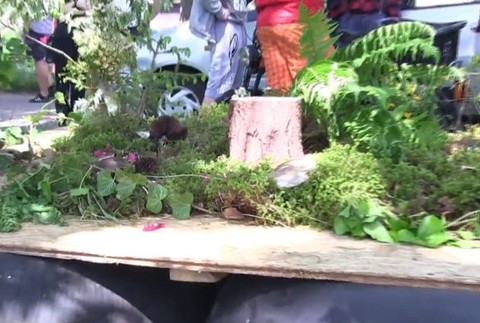 netradičná loď víl 