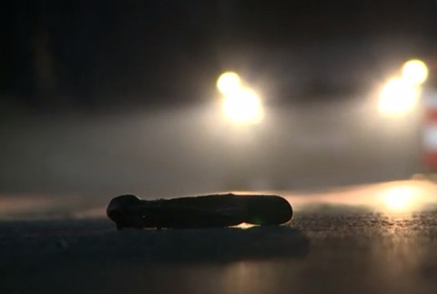 Tragédia na Kysuciach. Chodca tam zachytil kamión, vodič si najprv myslel, že ide o zver