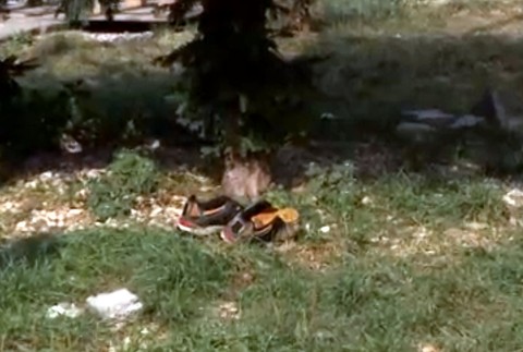 Pohlavný styk v centre mesta