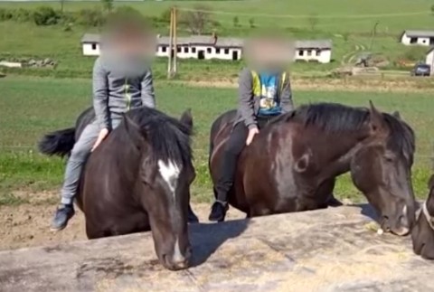 Na severovýchode zrejme pôsobí organizovaná skupina zlodejov koní