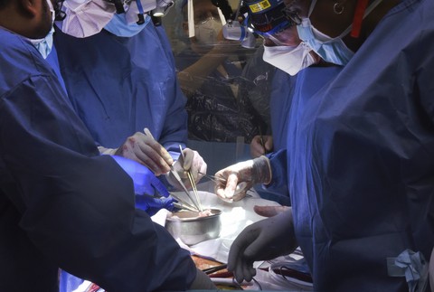 Lekári v USA transplantovali pacientovi srdce geneticky modifikovaného prasaťa