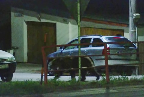 [multi] 051124TGY 5062