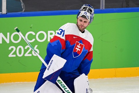 20261802_zoh_slovensko_nemecko_31194995