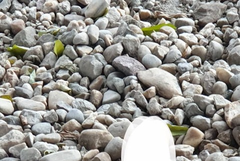 Polícia prehľadáva breh Dunaja a lokalitu, kde našli telo brutálne dobitej Violy